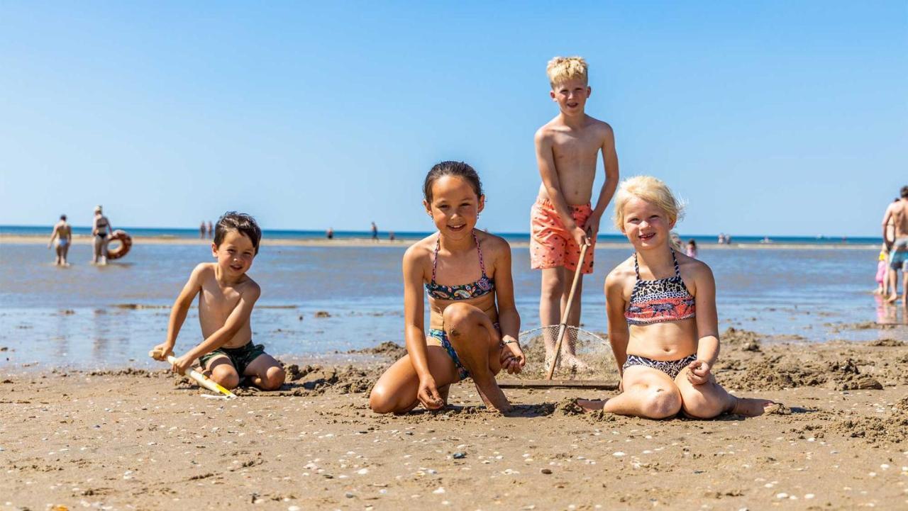 Molecaten Park Noordduinen Katwijk aan Zee Exteriör bild
